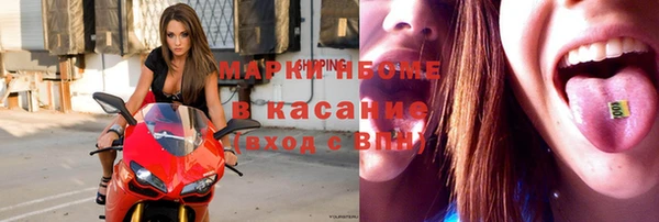 гидра Михайловка