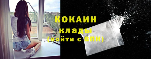 гидра Михайловка
