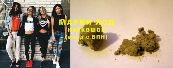 гидра Михайловка