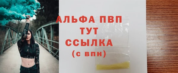 гидра Михайловка