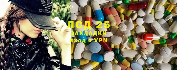 гидра Михайловка