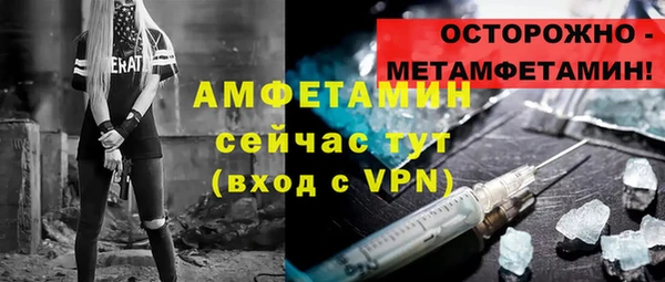 гидра Михайловка