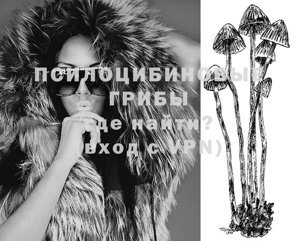 ECSTASY Михайловск