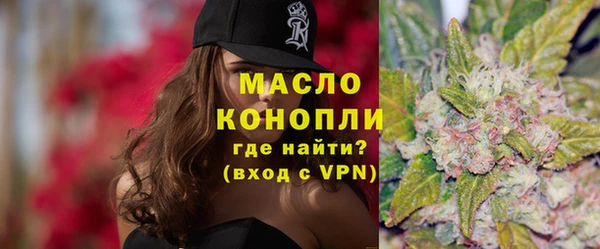 гидра Михайловка