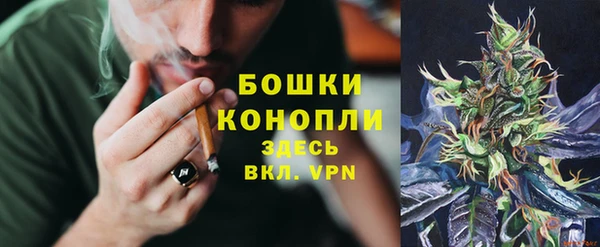 ECSTASY Михайловск