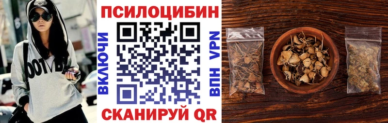 Галлюциногенные грибы Psilocybine cubensis  Купить где  Муравленко 